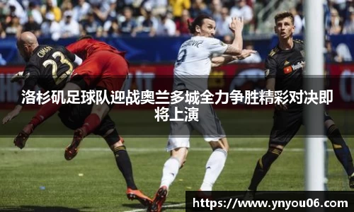 三亿体育官网入口